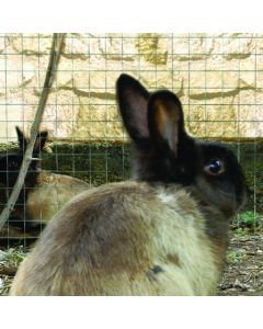 Grillage Soudé fils 0,8mm Maille Carré 13cm Hauteur 0,5m, 25 ml