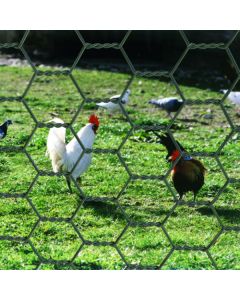 Grillage Triple Torsion ⌀0,7mm Maille 13mm Hauteur 0,5m, 25 ml