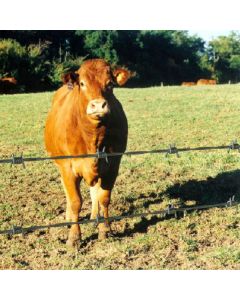 Barbelé Ronce 4 picots ⌀1,7mm Acier Dur, Longueur 250 m